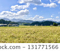 Summer blue sky and rice fields 131771566