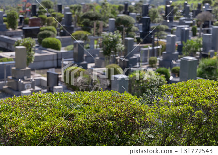 cemetery, cemetery, grave 131772543