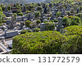 cemetery, cemetery, grave 131772579