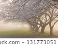 Spring in Koedo Kawagoe: A famous cherry blossom spot, Kawagoe Water Park in the mist 131773051