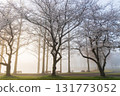 Spring in Koedo Kawagoe: A famous cherry blossom spot, Kawagoe Water Park in the mist 131773052