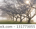 Spring in Koedo Kawagoe: A famous cherry blossom spot, Kawagoe Water Park in the mist 131773055