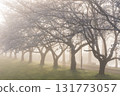 Spring in Koedo Kawagoe: A famous cherry blossom spot, Kawagoe Water Park in the mist 131773057