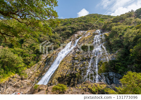 Fresh greenery and blue skies at Oko Falls, one of Japan's top 100 waterfalls, Yakushima National Park Fresh greenery and blue skies at Oko Falls, one of Japan's top 100 waterfalls, Yakushima National Park 131773096