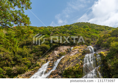 屋久島國立公園大古瀑布是日本百大瀑布之一，綠樹成蔭，天空蔚藍 131773097