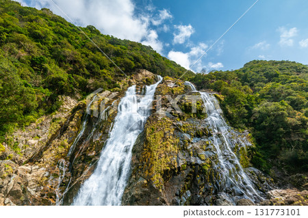 Fresh greenery and blue skies at Oko Falls, one of Japan's top 100 waterfalls, Yakushima National Park 131773101