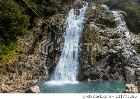 The roaring sound of Okawa Falls, one of Japan's top 100 waterfalls, Yakushima National Park (spring) 131773160