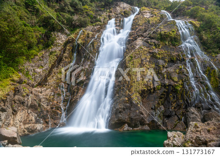 The roaring sound of Okawa Falls, one of Japan's top 100 waterfalls, Yakushima National Park (spring) 131773167