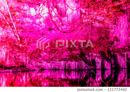 Icicles of Misotsuchi in Chichibu, Saitama, illuminated 131773492