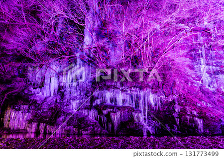 埼玉縣秩父市三十槌町的冰柱被照亮 131773499