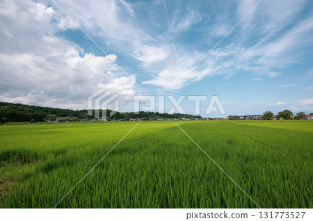 鄉村景觀 鄉村景觀 131773527