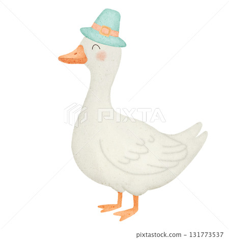 isolated goose on white background isolated goose on white background 131773537