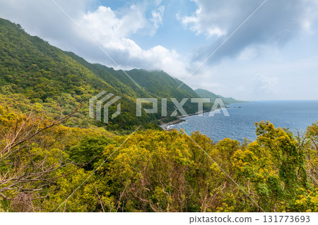 Spring blue skies and fresh greenery in the Western Forest Road area of Yakushima, a World Heritage Site (spring) Spring blue skies and fresh greenery in the Western Forest Road area of Yakushima, a World Heritage Site (spring) 131773693