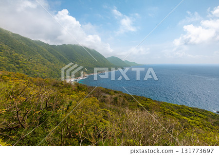 世界遺產屋久島西部林道地區的春天藍天和新綠（春天） 131773697