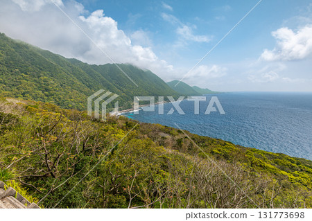 Spring blue skies and fresh greenery in the Western Forest Road area of Yakushima, a World Heritage Site (spring) 131773698