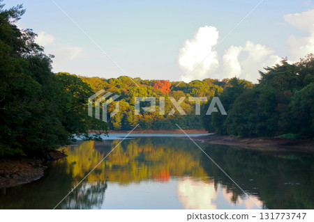 Lakeside early fall Lakeside early fall 131773747