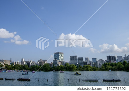 You can also enjoy boating at Shinobazu Pond in Ueno Park (Taito Ward, Tokyo) 131773892