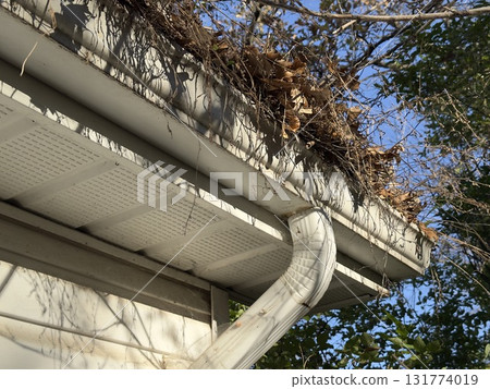 Clogged gutter with autumn leaves Clogged gutter with autumn leaves 131774019