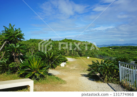 Kafu Banta, a scenic spot in Okinawa Kafu Banta, a scenic spot in Okinawa 131774968