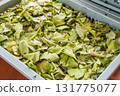 Drying ginkgo leaves and preparation for extracting the extract 131775077
