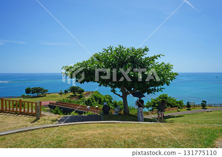 沖繩縣·知念海角公園 沖繩縣·知念海角公園 131775110