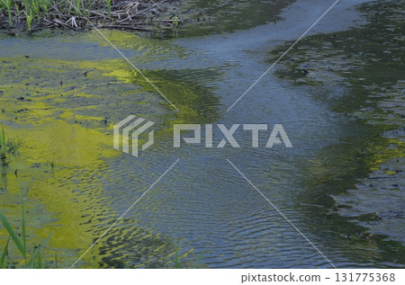 I looked into the source of sulfur. Energy bubbling up from the depths of the earth. Anxiety and mystery. Is this the end of the world? I looked into the source of sulfur. Energy bubbling up from the depths of the earth. Anxiety and mystery. Is this the end of the world? 131775368