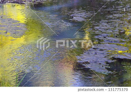 I looked into the source of sulfur. Energy bubbling up from the depths of the earth. Anxiety and mystery. Is this the end of the world? 131775370