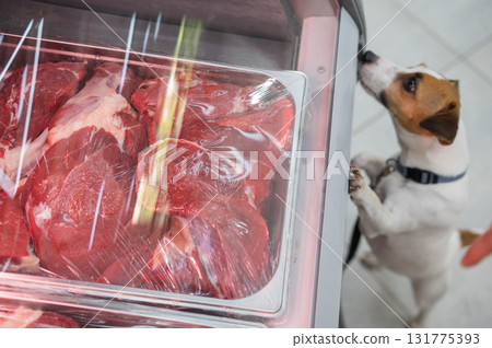 Curious Dog Gazing at Meats in Market Display.  131775393