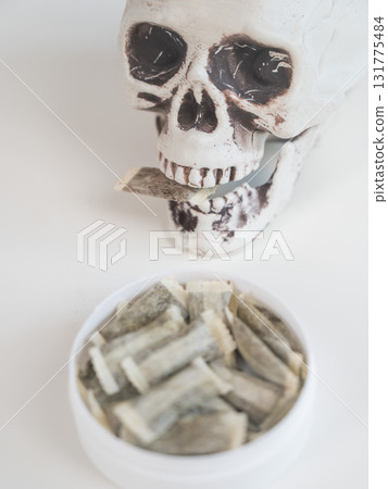 Skull Chewing Tobacco on a White Table. Skull Chewing Tobacco on a White Table. 131775484