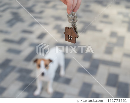 Woman holding bunch of house keys next to dog. Woman holding bunch of house keys next to dog. 131775561