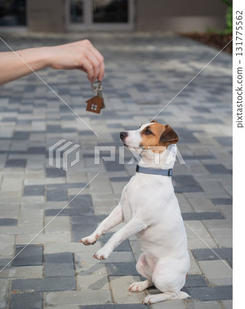 Woman holding bunch of house keys next to dog.  131775562