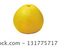 Grapefruit 2025_10 (with pass) 131775717