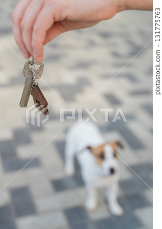 Woman holding bunch of house keys next to dog. Woman holding bunch of house keys next to dog. 131775763