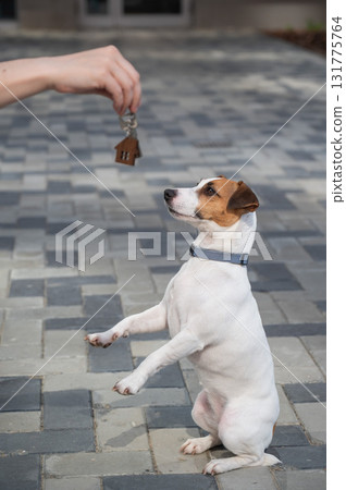 Woman holding bunch of house keys next to dog.  131775764