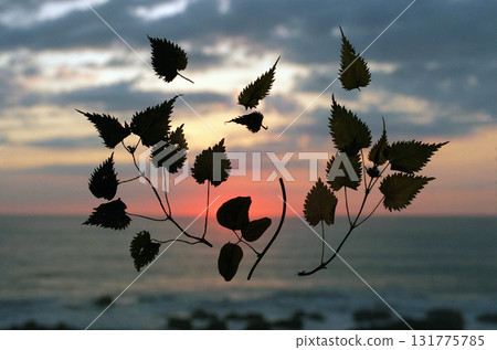 The sun is about to set, and the sky is a deep crimson. I wonder if something good has happened today. The leaves are dancing leisurely. 131775785