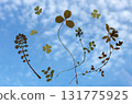The sky stretches out endlessly. Leaves dance leisurely in the clear blue sky. It seems like today will be a good day. The sky stretches out endlessly. Leaves dance leisurely in the clear blue sky. It seems like today will be a good day. 131775925