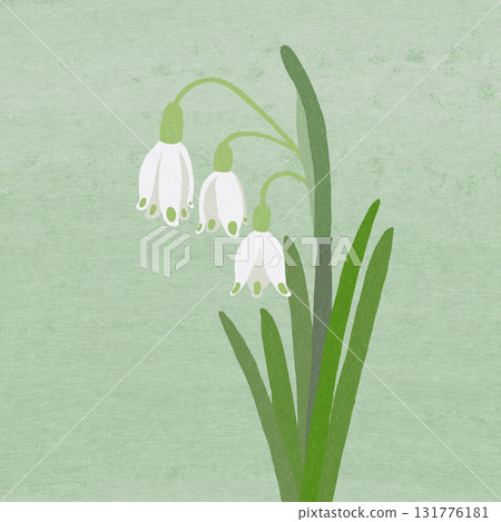 鈴蘭花狀花，雪花 131776181