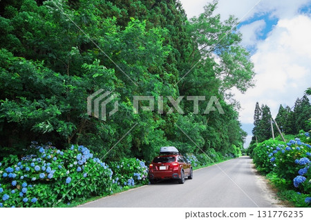 津輕半島繡球花之路及夏季第十五屆 131776235