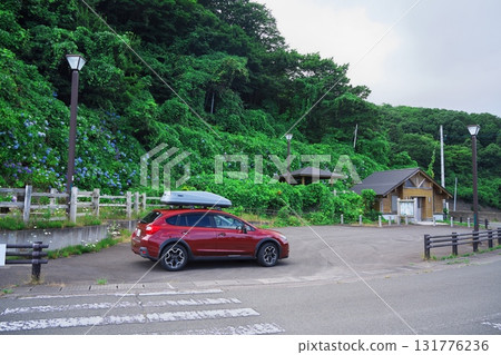 Kochidomari Parking Area and XV on the Tsugaru Peninsula Hydrangea Road in summer 131776236