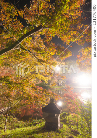 Illuminated autumn leaves in Yujaku Park (Bungoono City, Oita Prefecture) Illuminated autumn leaves in Yujaku Park (Bungoono City, Oita Prefecture) 131776400