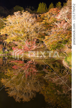 Illuminated autumn leaves in Yujaku Park (Bungoono City, Oita Prefecture) 131776452