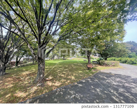 靜岡縣三島市鮎坪瀑佈公園 131777109