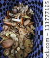 裝滿採摘蘑菇的籃子 131777165