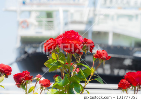 Red roses and the Hikawa Maru (Yamashita Park) 131777355