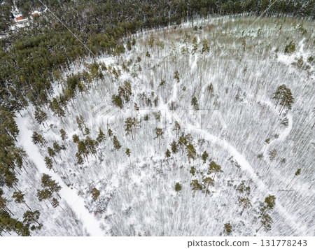 Aerial view of a winter pine forest. Top view of snow-covered pine trees. Beautiful winter forest landscape. Aerial view of a winter pine forest. Top view of snow-covered pine trees. Beautiful winter forest landscape. 131778243