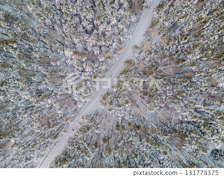 Aerial view of the road in the winter forest with high pine or spruce trees covered by snow. Driving in winter. 131778375