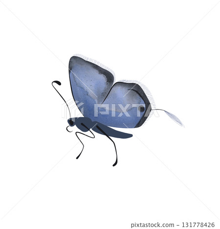 Long tailed Blue butterfly. Isolated watercolor illustration for graphic design. Sticker, part of image. Clipart. Long tailed Blue butterfly. Isolated watercolor illustration for graphic design. Sticker, part of image. Clipart. 131778426