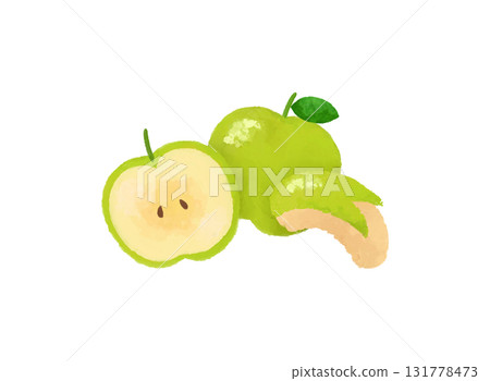 Watercolor style fruit illustration of a green apple 131778473