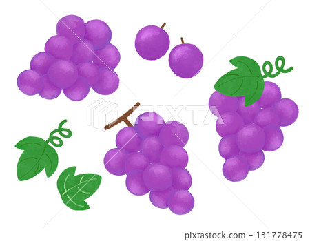 Grape watercolor fruit illustration material set 131778475