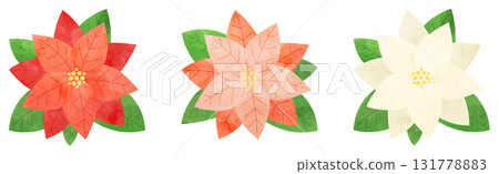 聖誕節用一品紅花和葉子的水彩畫集 131778883
